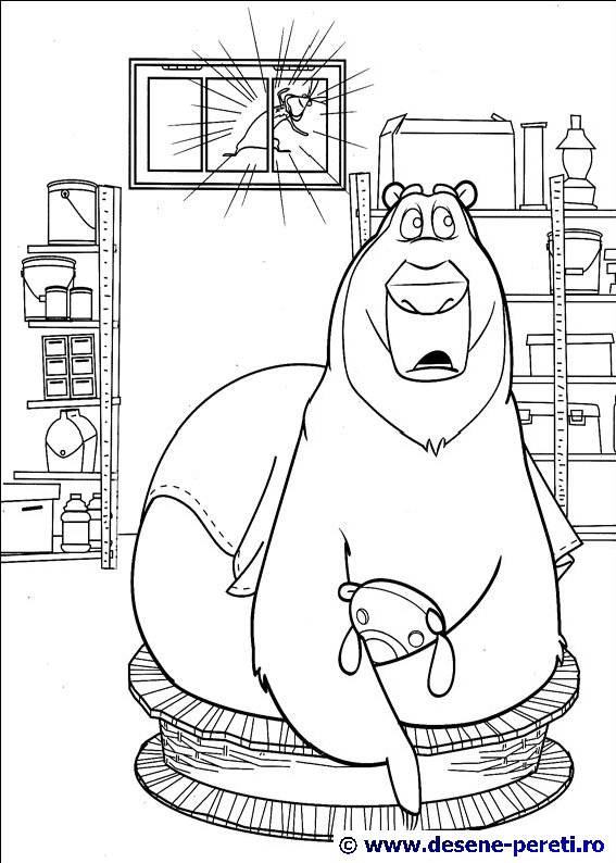 open season desene colorat